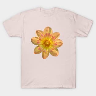 Kelsey Annie Joy Collarette Dahlia, Peachy Pink Flower T-Shirt